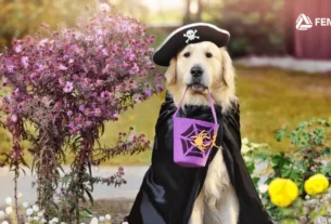 Imagen promocional de Halloween con mascotas, destacando los beneficios y actividades especiales que Fempha ofrece a sus asociados.