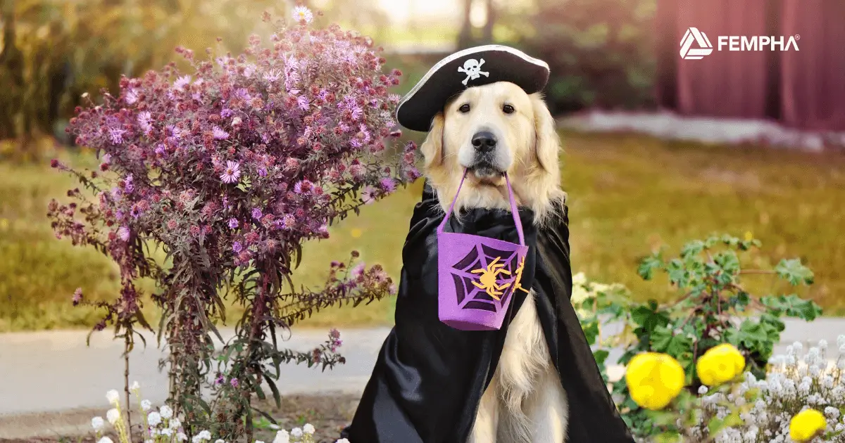 Imagen promocional de Halloween con mascotas, destacando los beneficios y actividades especiales que Fempha ofrece a sus asociados.